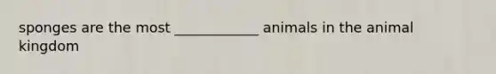 sponges are the most ____________ animals in the animal kingdom