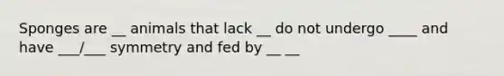 Sponges are __ animals that lack __ do not undergo ____ and have ___/___ symmetry and fed by __ __