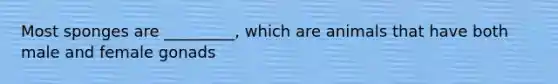 Most sponges are _________, which are animals that have both male and female gonads