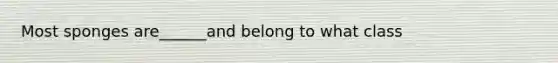 Most sponges are______and belong to what class