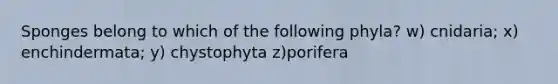 Sponges belong to which of the following phyla? w) cnidaria; x) enchindermata; y) chystophyta z)porifera