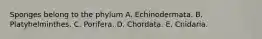 Sponges belong to the phylum A. Echinodermata. B. Platyhelminthes. C. Porifera. D. Chordata. E. Cnidaria.