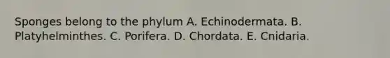 Sponges belong to the phylum A. Echinodermata. B. Platyhelminthes. C. Porifera. D. Chordata. E. Cnidaria.