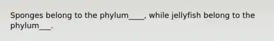 Sponges belong to the phylum____, while jellyfish belong to the phylum___.