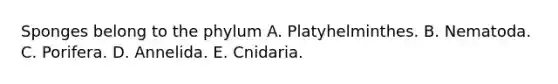 Sponges belong to the phylum A. Platyhelminthes. B. Nematoda. C. Porifera. D. Annelida. E. Cnidaria.