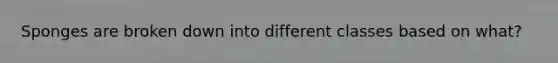Sponges are broken down into different classes based on what?