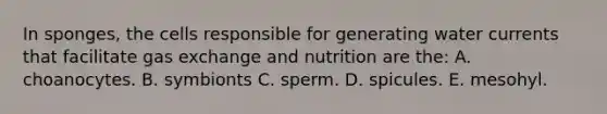 In sponges, the cells responsible for generating water currents that facilitate <a href='https://www.questionai.com/knowledge/kU8LNOksTA-gas-exchange' class='anchor-knowledge'>gas exchange</a> and nutrition are the: A. choanocytes. B. symbionts C. sperm. D. spicules. E. mesohyl.