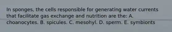 In sponges, the cells responsible for generating water currents that facilitate gas exchange and nutrition are the: A. choanocytes. B. spicules. C. mesohyl. D. sperm. E. symbionts