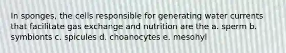 In sponges, the cells responsible for generating water currents that facilitate gas exchange and nutrition are the a. sperm b. symbionts c. spicules d. choanocytes e. mesohyl