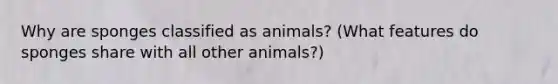 Why are sponges classified as animals? (What features do sponges share with all other animals?)