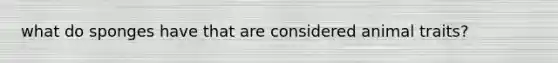 what do sponges have that are considered animal traits?