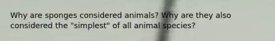 Why are sponges considered animals? Why are they also considered the "simplest" of all animal species?