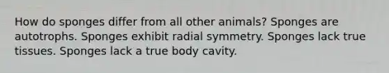 How do sponges differ from all other animals? Sponges are autotrophs. Sponges exhibit radial symmetry. Sponges lack true tissues. Sponges lack a true body cavity.