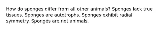 How do sponges differ from all other animals? Sponges lack true tissues. Sponges are autotrophs. Sponges exhibit radial symmetry. Sponges are not animals.