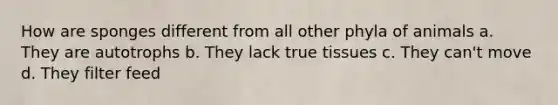 How are sponges different from all other phyla of animals a. They are autotrophs b. They lack true tissues c. They can't move d. They filter feed