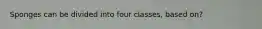 Sponges can be divided into four classes, based on?