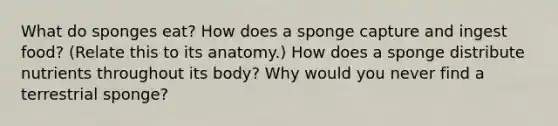 What do sponges eat? How does a sponge capture and ingest food? (Relate this to its anatomy.) How does a sponge distribute nutrients throughout its body? Why would you never find a terrestrial sponge?