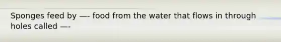 Sponges feed by —- food from the water that flows in through holes called —-
