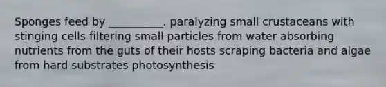 Sponges feed by __________. paralyzing small crustaceans with stinging cells filtering small particles from water absorbing nutrients from the guts of their hosts scraping bacteria and algae from hard substrates photosynthesis