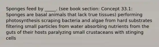 Sponges feed by _____. (see book section: Concept 33.1: Sponges are basal animals that lack true tissues) performing photosynthesis scraping bacteria and algae from hard substrates filtering small particles from water absorbing nutrients from the guts of their hosts paralyzing small crustaceans with stinging cells