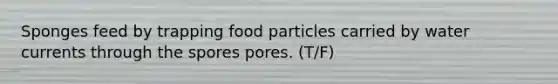 Sponges feed by trapping food particles carried by water currents through the spores pores. (T/F)