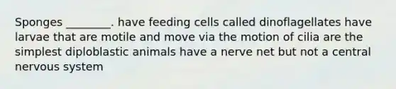 Sponges ________. have feeding cells called dinoflagellates have larvae that are motile and move via the motion of cilia are the simplest diploblastic animals have a nerve net but not a central nervous system