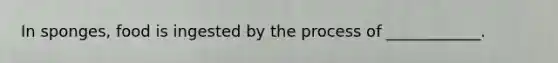 In sponges, food is ingested by the process of ____________.