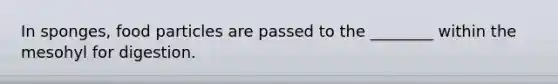 In sponges, food particles are passed to the ________ within the mesohyl for digestion.