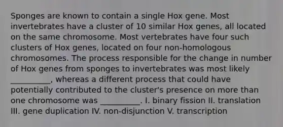 Sponges are known to contain a single Hox gene. Most invertebrates have a cluster of 10 similar Hox genes, all located on the same chromosome. Most vertebrates have four such clusters of Hox genes, located on four non-homologous chromosomes. The process responsible for the change in number of Hox genes from sponges to invertebrates was most likely __________, whereas a different process that could have potentially contributed to the cluster's presence on more than one chromosome was __________. I. binary fission II. translation III. gene duplication IV. non-disjunction V. transcription