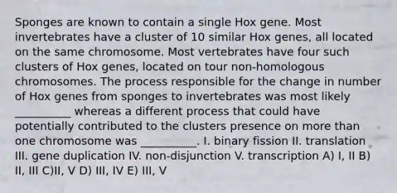 Sponges are known to contain a single Hox gene. Most invertebrates have a cluster of 10 similar Hox genes, all located on the same chromosome. Most vertebrates have four such clusters of Hox genes, located on tour non-homologous chromosomes. The process responsible for the change in number of Hox genes from sponges to invertebrates was most likely __________ whereas a different process that could have potentially contributed to the clusters presence on more than one chromosome was __________. I. binary fission II. translation III. gene duplication IV. non-disjunction V. transcription A) I, II B) II, III C)II, V D) III, IV E) III, V