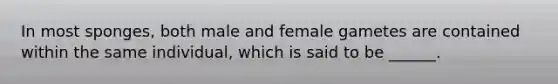 In most sponges, both male and female gametes are contained within the same individual, which is said to be ______.