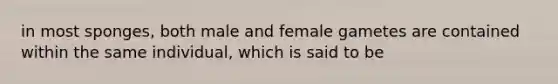 in most sponges, both male and female gametes are contained within the same individual, which is said to be