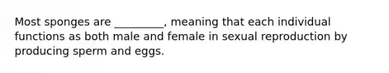 Most sponges are _________, meaning that each individual functions as both male and female in sexual reproduction by producing sperm and eggs.