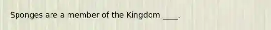 Sponges are a member of the Kingdom ____.