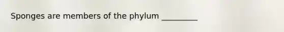 Sponges are members of the phylum _________