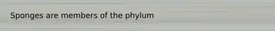 Sponges are members of the phylum