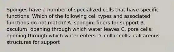 Sponges have a number of specialized cells that have specific functions. Which of the following cell types and associated functions do not match? A. spongin: fibers for support B. osculum: opening through which water leaves C. pore cells: opening through which water enters D. collar cells: calcareous structures for support