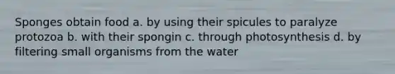 Sponges obtain food a. by using their spicules to paralyze protozoa b. with their spongin c. through photosynthesis d. by filtering small organisms from the water