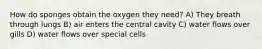 How do sponges obtain the oxygen they need? A) They breath through lungs B) air enters the central cavity C) water flows over gills D) water flows over special cells