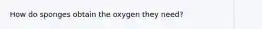 How do sponges obtain the oxygen they need?