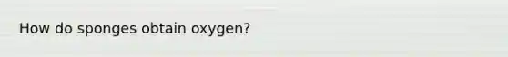 How do sponges obtain oxygen?