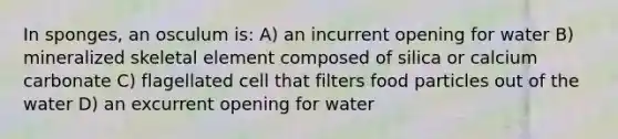 In sponges, an osculum is: A) an incurrent opening for water B) mineralized skeletal element composed of silica or calcium carbonate C) flagellated cell that filters food particles out of the water D) an excurrent opening for water