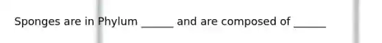 Sponges are in Phylum ______ and are composed of ______
