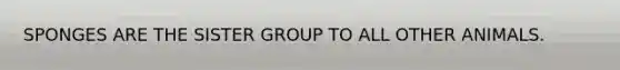 SPONGES ARE THE SISTER GROUP TO ALL OTHER ANIMALS.