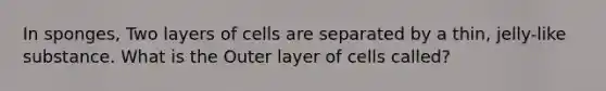 In sponges, Two layers of cells are separated by a thin, jelly-like substance. What is the Outer layer of cells called?