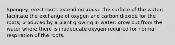 Spongey, erect roots extending above the surface of the water; facilitate the exchange of oxygen and carbon dioxide for the roots; produced by a plant growing in water; grow out from the water where there is inadequate oxygen required for normal respiration of the roots.