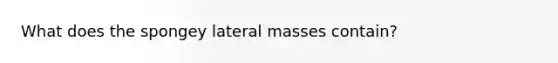 What does the spongey lateral masses contain?