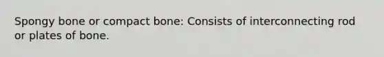 Spongy bone or compact bone: Consists of interconnecting rod or plates of bone.