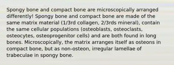 Spongy bone and compact bone are microscopically arranged differently! Spongy bone and compact bone are made of the same matrix material (1/3rd collagen, 2/3rds mineral), contain the same cellular populations (osteoblasts, osteoclasts, osteocytes, osteoprogenitor cells) and are both found in long bones. Microscopically, the matrix arranges itself as osteons in compact bone, but as non-osteon, irregular lamellae of trabeculae in spongy bone.