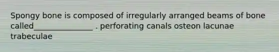 Spongy bone is composed of irregularly arranged beams of bone called_______________ . perforating canals osteon lacunae trabeculae